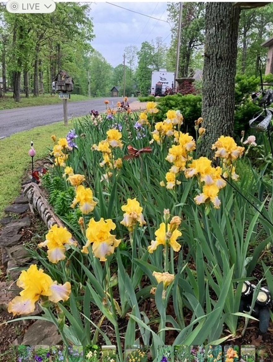 Wow, were to start? You get a beautiful home on a flat corner lot, with easy highway access. Plenty of firewood for the wood burning insert making for a cozy place to call home. Relax in the jacuzzi tub or on the back deck while watching the birds. Tinker in your own greenhouse. See documents for more info. Carpet to be cleaned and stretched prior to closing. Insulated 14 x 24 storage building with electric & AC to convey. Pet- and smoke-free home. Raised bed garden, ideal for your own fresh produce or seasonal blooms.