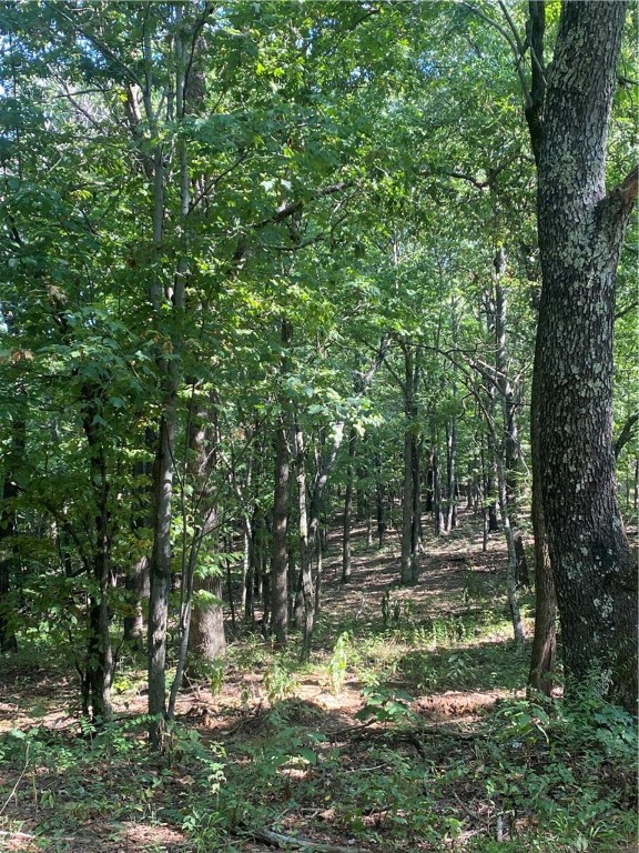 Tract B 3491 Madison 5440