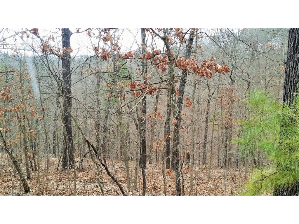 Wooded rural corner lot containing 3.12 acres. Sloping to the south with building sites on CR 1160 and Pine Ridge road. Nice frontage on both roads. Additional 3.13 acres(lot 10) adjoining on Pine Ridge road can be bought as well. Possible owner financing with substantial down payment and agreeable terms. Only minutes to Beaver lake, Beaver dam, Rogers area, and Eureka Springs.