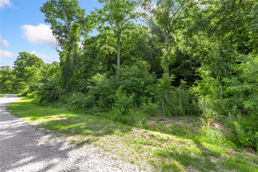 Round Mountain Estates - Land