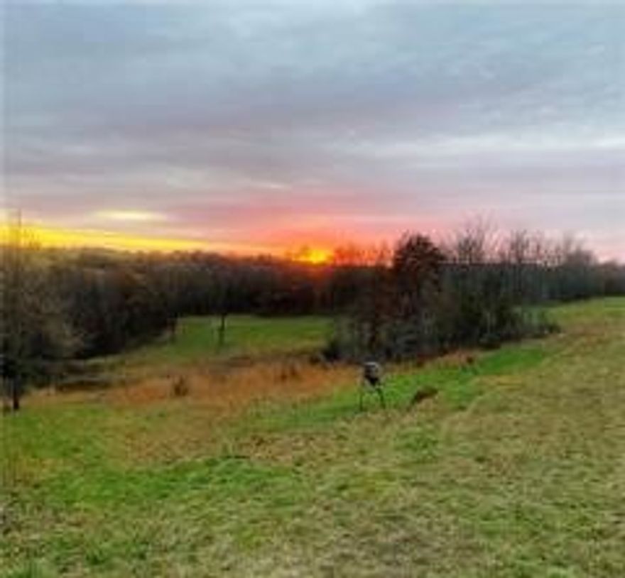 Discover your perfect retreat on this stunning 27-acre property, offering the ultimate blend of natural beauty and privacy. Enjoy breathtaking panoramic views of the rolling countryside from multiple potential build sites. This land is an outdoorsman's paradise, boasting a thriving ecosystem with excellent deer hunting and abundant wildlife. Tucked away from the world, it provides unmatched seclusion while remaining easily accessible. Whether you envision a private dream home, a hunting camp, or a peaceful escape, this rare parcel offers endless possibilities. Great seller concessions at closing to provide water, electric and access improvements. Please reference MLS 1319785