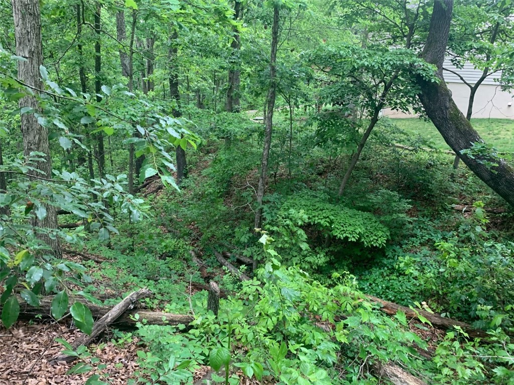 SEWER LOT! .29 acres Near Trails, Biking, Walking, close to Highway 71 Just minutes from Dogwood Golf Course, Britany Golf course, Swimming Pool and Metfield Recreational facility.