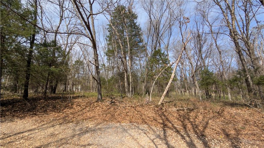 Welcome to Northwest Arkansas! Build your dream home on this 0.28-acre lot tucked away in a quiet cul-de-sac in Bella Vista. Enjoy the peace and privacy of a low-traffic setting while still being surrounded by everything that makes Bella Vista so desirable, scenic wooded surroundings, rolling terrain, and access to outdoor recreation. Bella Vista is known for its incredible amenities, including multiple golf courses, lakes, and miles of trails, making it a true destination for nature lovers and outdoor enthusiasts.  Whether you're looking to build now or invest for the future, this property offers a great opportunity in one of Northwest Arkansas’s fastest-growing areas. For easy directions, enter 36.437096, -94.288517 into your GPS to locate the property.
Ask your agent for additional details, including the septic test and conceptual building plans.