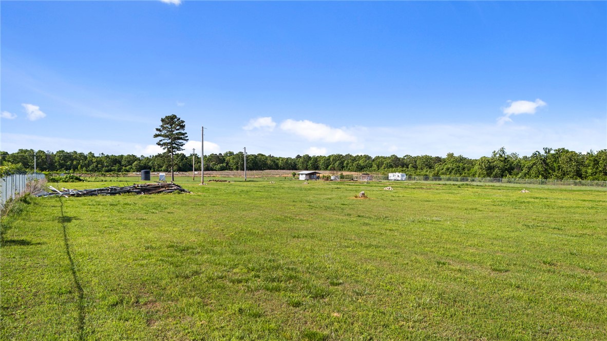 Expansive green field featuring a lone mature tree