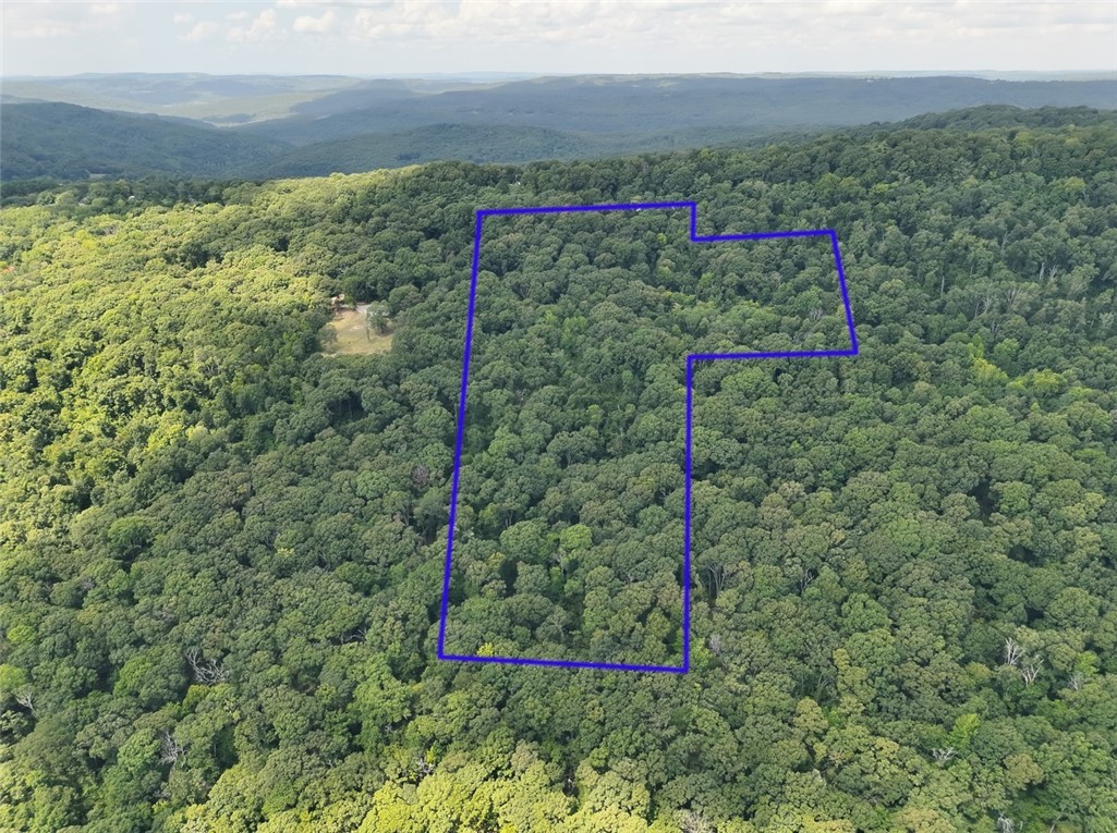 13.43 wooded acres that joins the national forest on the back side. Old home foundation, electric pole, old shed and a pond. View in the winter.