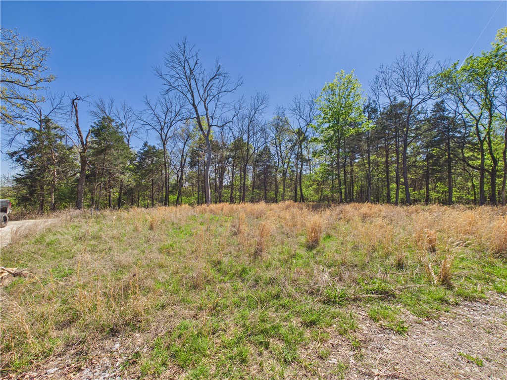 Leisure Hills - Land