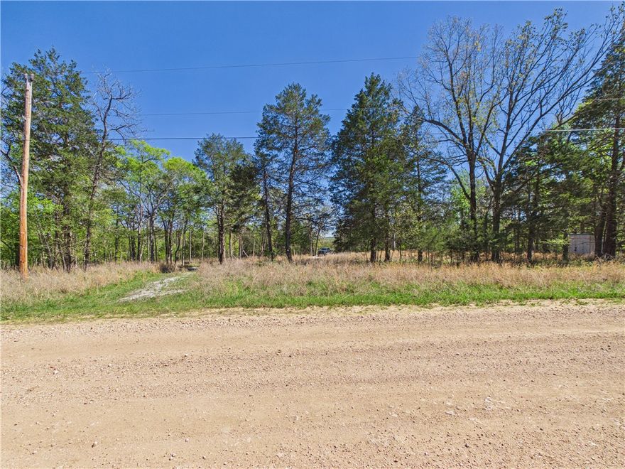This 14.77 acres is your new opportunity at a Lake property!  Perfectly situated on Bull Shoals lake, backing up to several hundred acres of Corps of Engineers land, AND has cleared ample area to build your future get-away! This 14.77 acre parcel features an already existing 24ft long 6 inch thick concrete pad for your RV/Camper, with all the hook ups right there. In addition to the concrete slab, this property features a well house, with a well dug in the last 2 years, all water lines ready if you're looking to build. There is also already a septic system in place that is also been done in the last couple of years. You want lights, and electricity, look no further, there has already been electricity ran into the property and in place ready for your building of your dream escape, or even for your RV/Camper. Which ever you're looking to do in your future, this property already has what you're looking for.