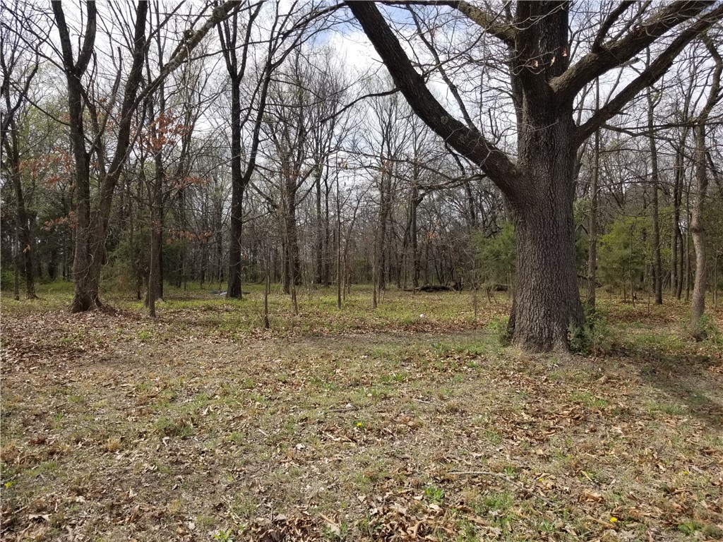 Opportunity! Beautiful level 2.06 acres with large hardwood trees. This is an amazing piece of land for you to build your dream home and have room to spare for added privacy and enjoyment! Also, this could be a great property for an Investor. Land has been surveyed, and markers are present. Electric and rural water is available. Property is easy to access from Highway 72 and convenient to I49 for commuting.
