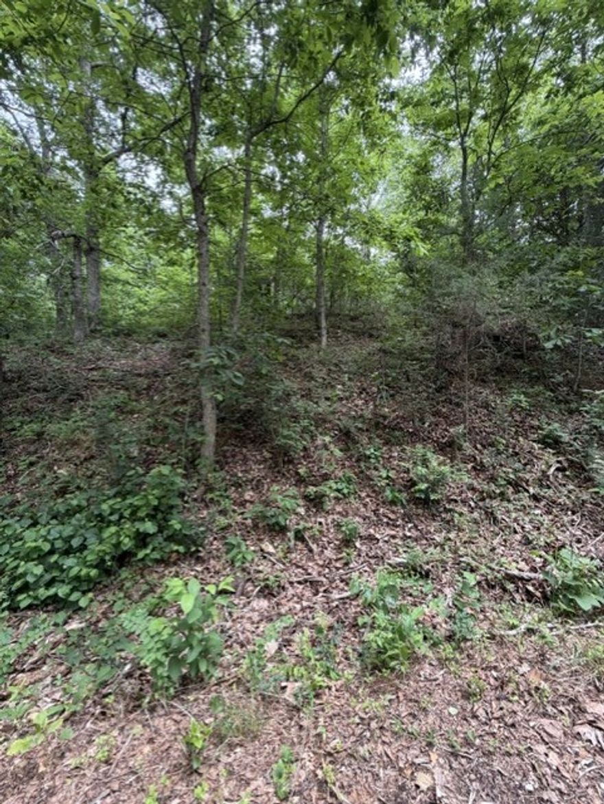 If privacy and being surrounded by nature is what you are looking for... this lot could be for you! With .37 acres and located in thriving Bella Vista AR, close to Branchwood Rec Center, Branchwood Disc Golf course, Pickleball courts, Highlands Golf Course and Loch Lomand, this property offers the perfect blend of peaceful surroundings and access to some of Bella Vista’s most loved amenities. Whether you’re ready to build now or invest for the future, you’ll appreciate the natural setting, abundant wildlife, and convenient access to trails, golf, lakes, and recreation. Come experience the beauty and lifestyle that make Bella Vista such a sought-after place to call home!