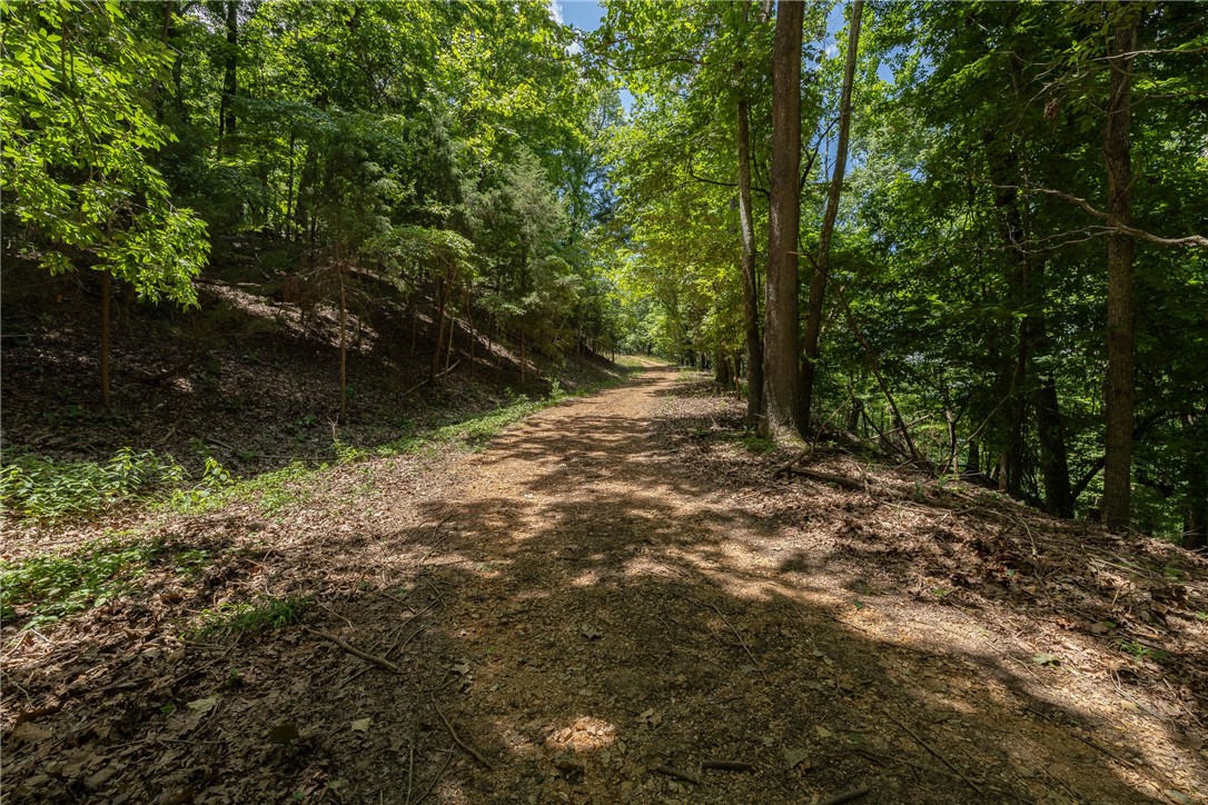 Hickory Ridges - Land