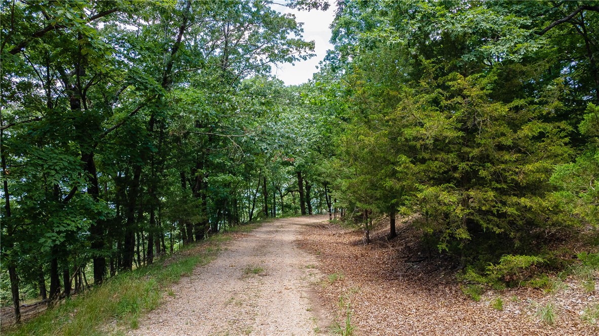 Hickory Ridges - Land