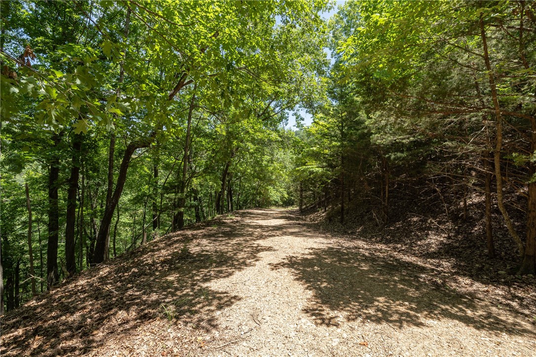 Hickory Ridges - Land