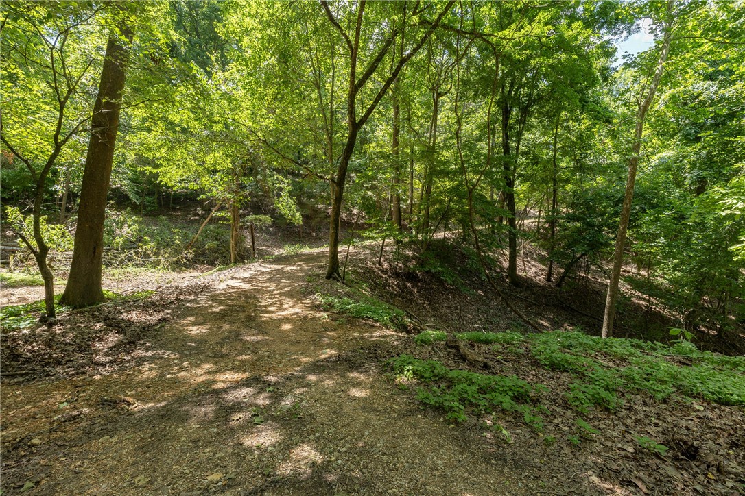 Hickory Ridges - Land