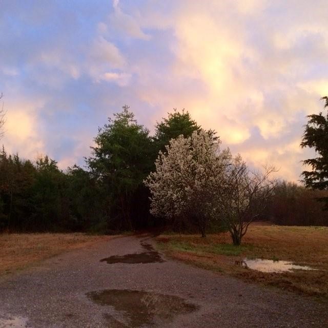 19-17-28 - Residential