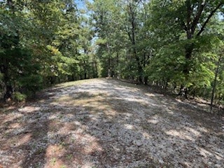 Beaver Lake Area Property, Wooded gently rolling acreage with paved road access, Scenic and secluded perfect for a home or week end retreat, 5 minutes from Big Clifty Park and boat ramp, 15 min to fuel and groceries 20 minutes to Eureka Springs
