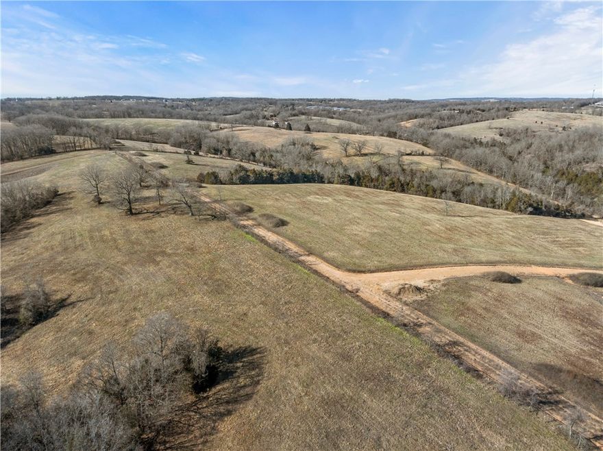 132.33 acres of opportunity await you in a premium location! Situated near town, at a key intersection, and with access to 4-lane traffic, this unrestricted property offers unmatched versatility. The seller has tailored it for buyers considering subdivision, commercial development, or investment projects. Additionally, it remains well-suited for agricultural use, featuring 3 perfectly placed entrances, ponds and fully fenced and crossed-fenced pastures. With a great mix of open land and scenic views, this property is ready for your vision. Located at the intersection of US 412W/62W & 65 at Bear Creek Springs let this property be your next big venture!