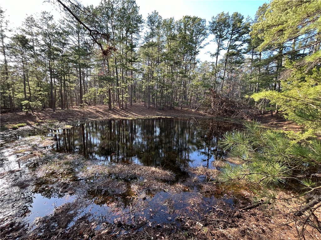 Highway frontage on approximately 58.5 acres m/l. Great trails for 4 wheelers, 2 ponds, several buildable areas - some with views, lots of trees for potential logging investment. Electrical right-of-way on property. Great opportunity to hunt or build a home.