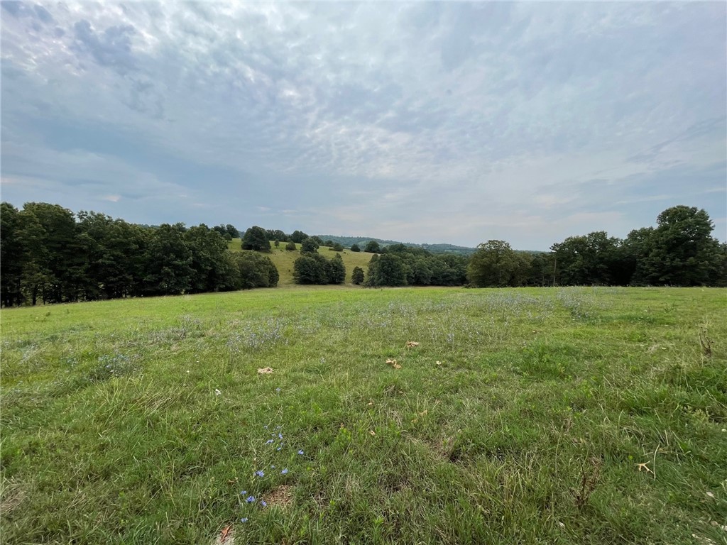 60 acres of mostly open pasture ready for cattle or horses. This property offers cross fencing and a pond. As you travel down the driveway, you will find the property offers seclusion but not too far off the main road. There are multiple building sites available on this property. Located 15 minutes to Berryville and a few miles to Hwy 412. Property is located in the Berryville school district.
