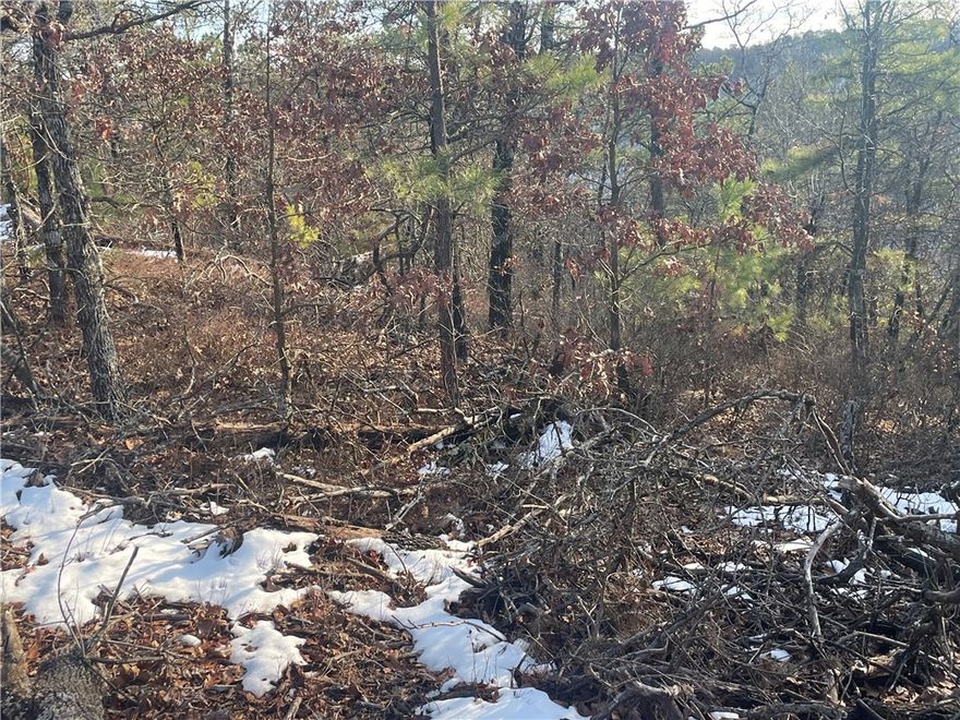 13.13 Acres of Prime Land Near Eureka Springs & White River!

Discover 13.13 acres of raw, scenic land perfectly situated just west of historic Eureka Springs, just north of beautiful Beaver Lake and just east of the stunning White River. This property offers a mix of ever greens and mature trees, making it ideal for your private dream home, vacation retreat, or investment opportunity. With easy access to the charm of downtown Eureka Springs, outdoor adventures on the White River, and the beauty of the Ozarks, this land is a rare find. Don’t miss your chance to own a slice of Arkansas paradise!

Location: West of Eureka Springs, East of White River
Size: 13.13 Acres (mol)
Features: Wooded & Open Land, Scenic Views
Accessibility: Convenient to Town & Recreation

Call today for more details!