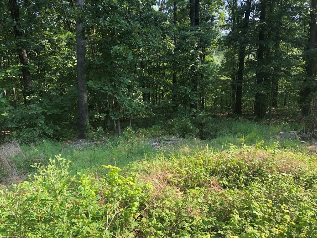 Steep 0.28(+/-) acres in area of mixture of new construction and existing housing. Slopes away from street, ideal for walkout.