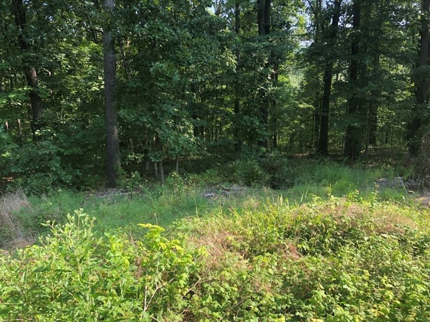 Steep 0.28(+/-) acres in area of mixture of new construction and existing housing. Slopes away from street, ideal for walkout.