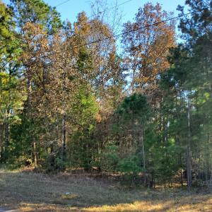 Looking to build? This 3.28 acres offers an abundance of pine and oak trees, located on a paved dead end road, electric and water at street and just minutes from Dover.