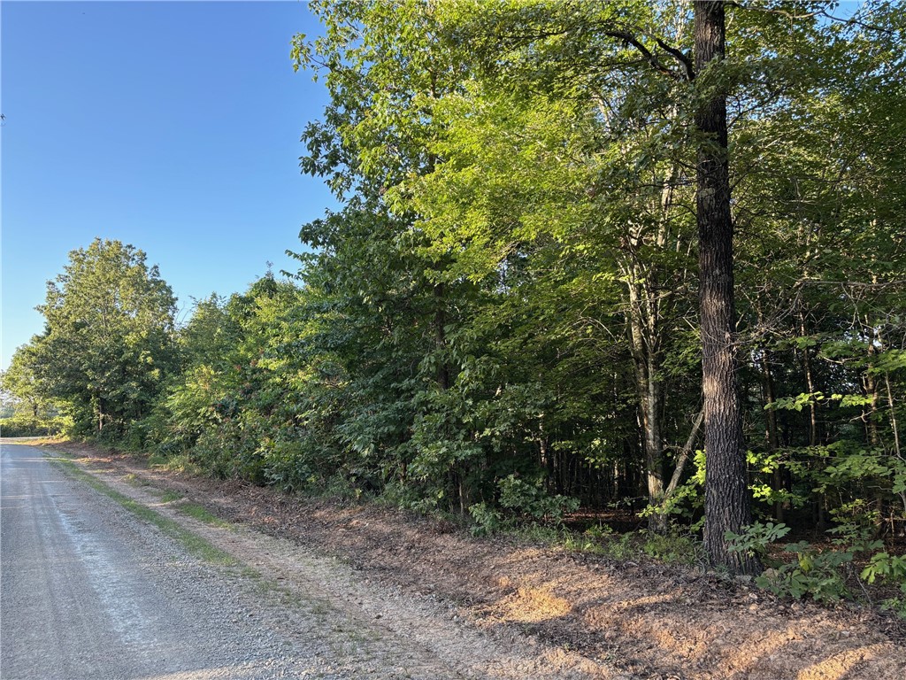 Nice wooded parcel fronting county road. Multiple secluded home sites possible. Easy county road access. Within an hour or less of Bull Shoals and Norfork Lakes, the Buffalo and White Rivers, and numerous hiking, camping, swimming, canoeing, fishing, hunting and sight-seeing venues. A great place for your Ozark Home or Get-A-Way. Buyer to confirm availability of utilities. Taxes are an estimate.