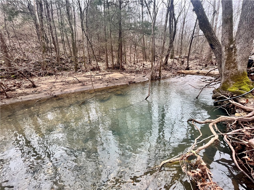 30 acres +/- in Beautiful Newton County, Arkansas! This tract is just a few miles east of Jasper at the corner of HWY 74 E and NC 6052. The property has mature timber, a creek, access to rural water and electric, and lots of deer and turkey sign. This piece would be perfect for a recreational tract, someone wanting to build their forever home, or a nightly rental. Just a few miles away from the Buffalo National River/Ozark National Forest and centrally located to everything this area has to offer.