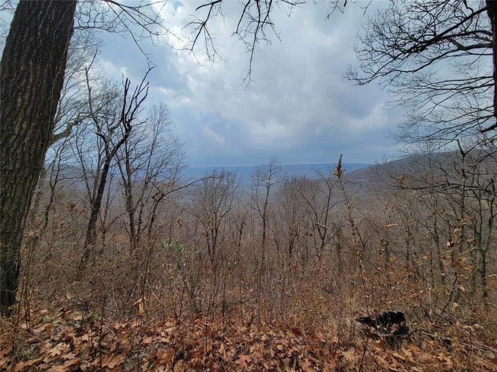Discover 40 acres of natural beauty, perfect for your private getaway. In addition to the 40 acres, this wooded retreat offers legal access to 22 acres along the White Riverāideal for fishing, kayaking, and campingājust under a mile away and shared by a small group of neighboring landowners. With rural water available at the road, youāll be able to create your own hunting or fishing camp. Less than 45 minutes from Fayetteville, this property features beautiful hardwoods and a peaceful setting, perfect for unwinding and leaving the stress behind.