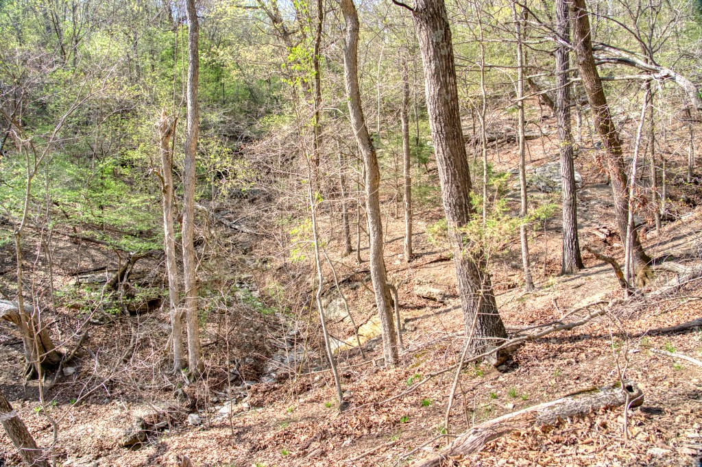 Thomas Family Subdivision - Land