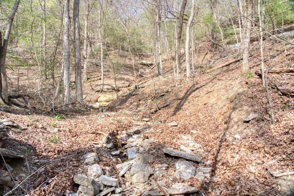 Thomas Family Subdivision - Land