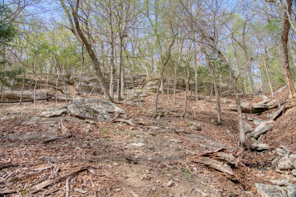 Thomas Family Subdivision - Land