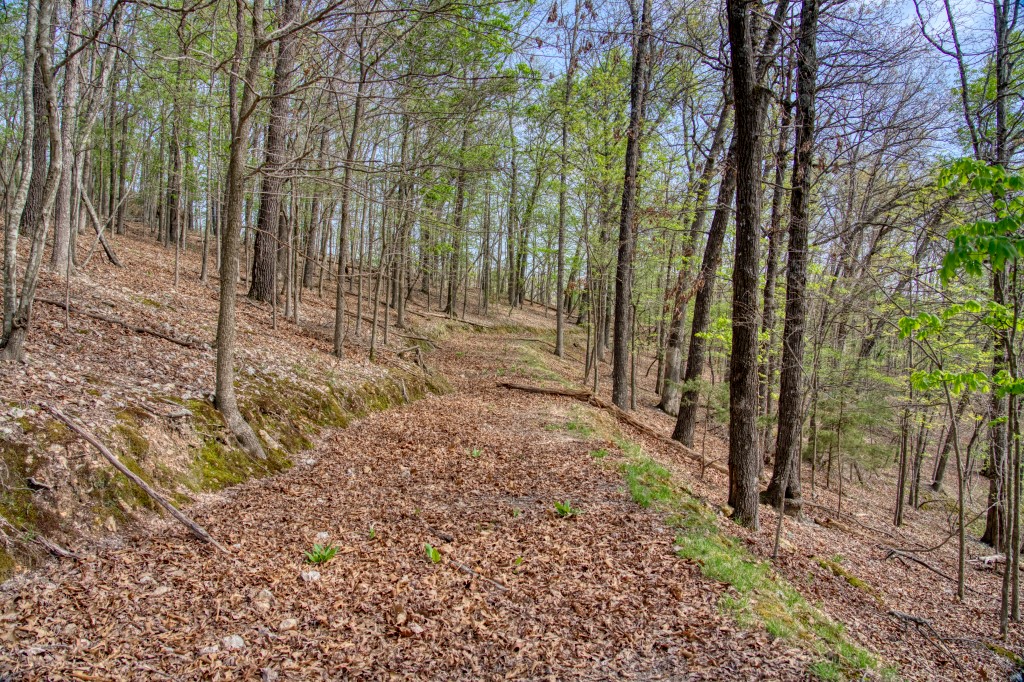 Thomas Family Subdivision - Land