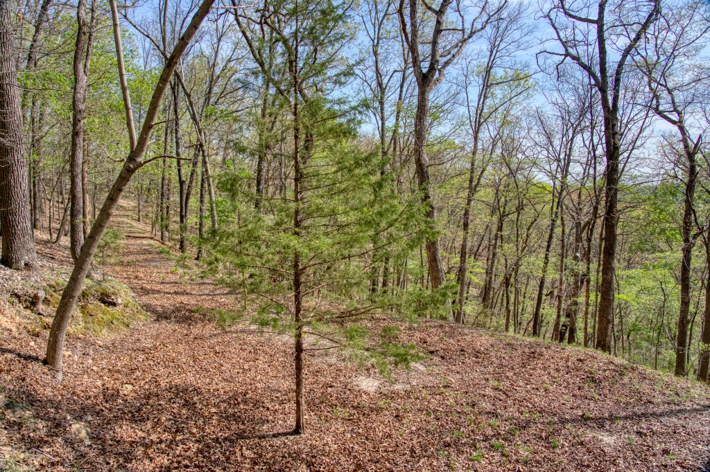 Thomas Family Subdivision - Land