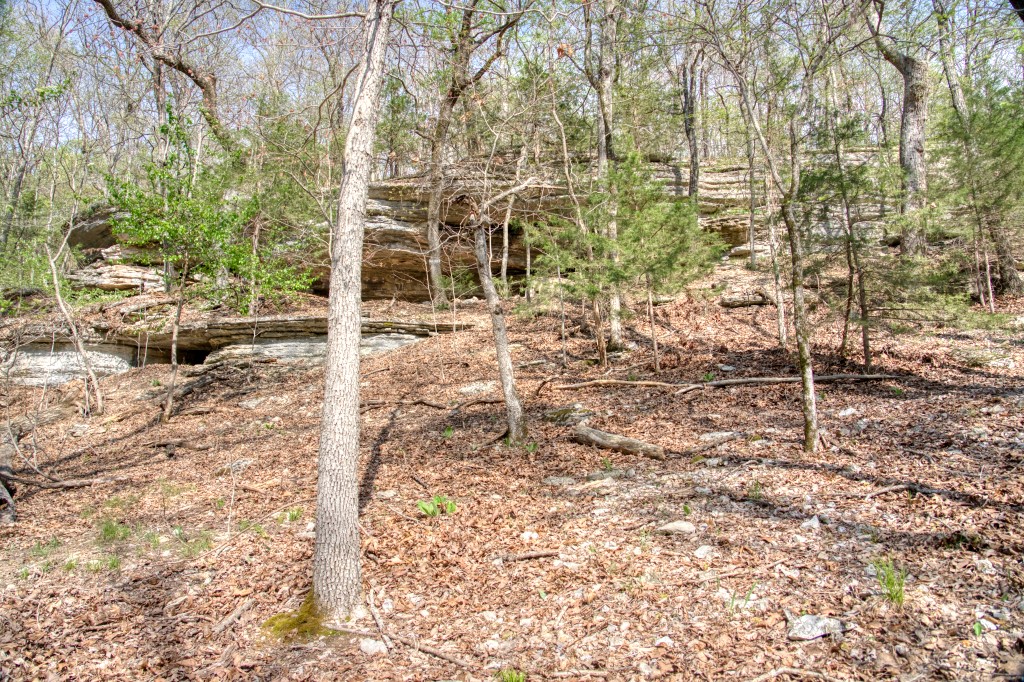 Thomas Family Subdivision - Land