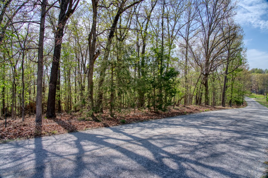 Thomas Family Subdivision - Land