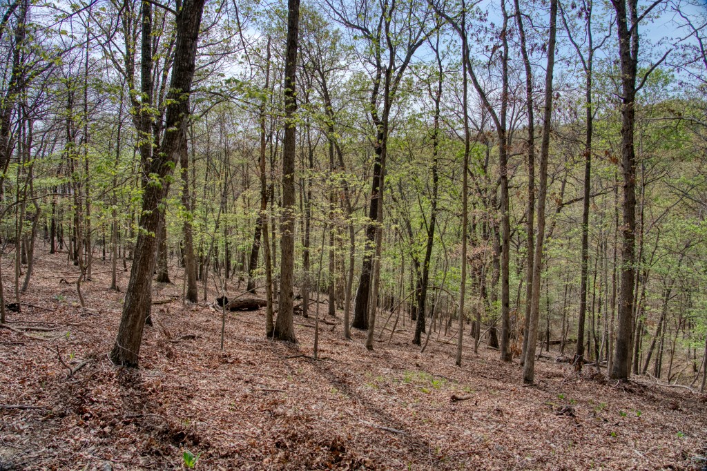 Thomas Family Subdivision - Land