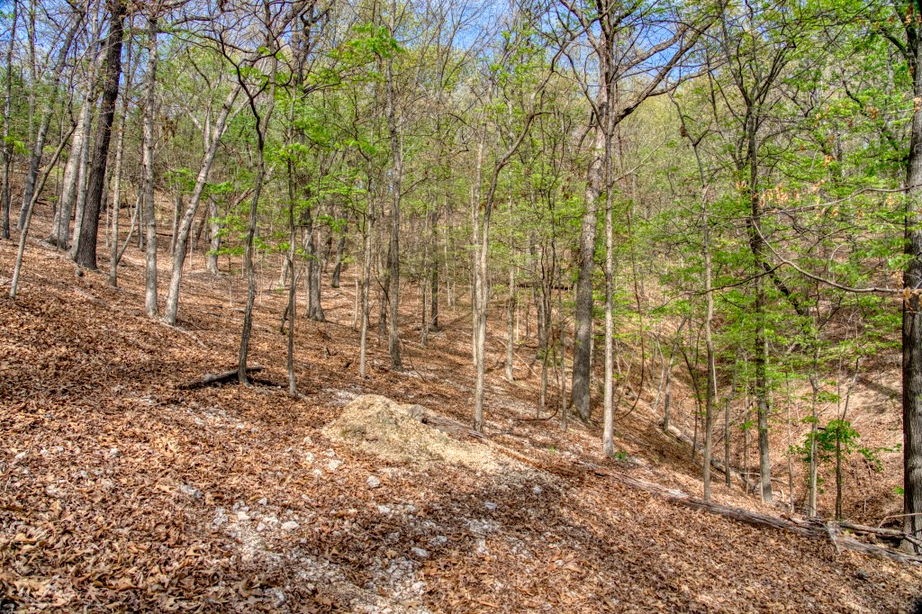 Thomas Family Subdivision - Land