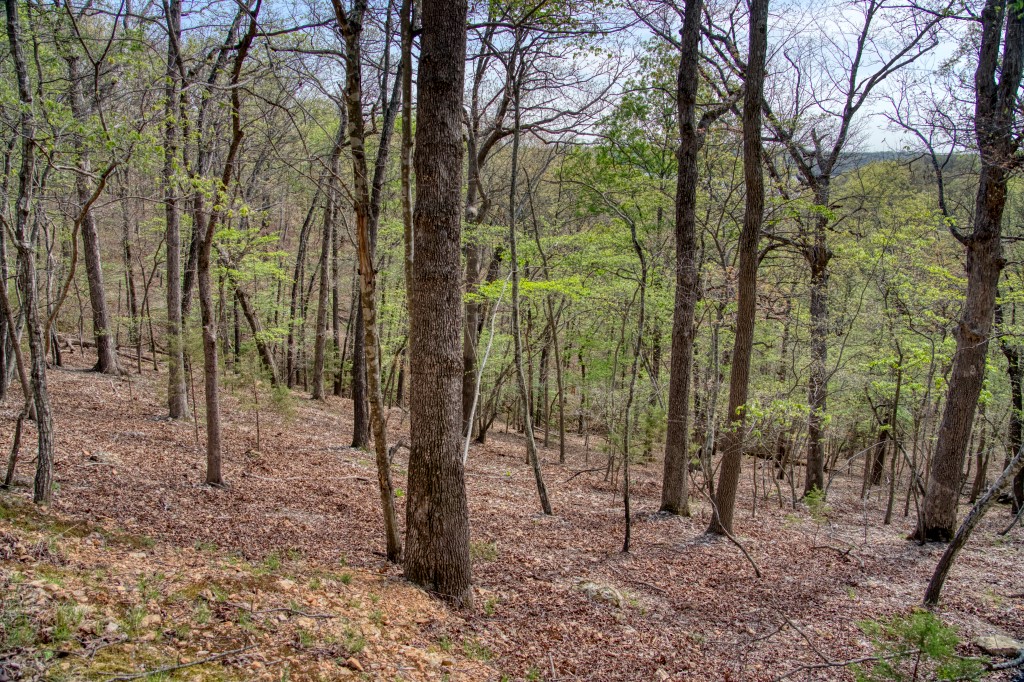 Thomas Family Subdivision - Land