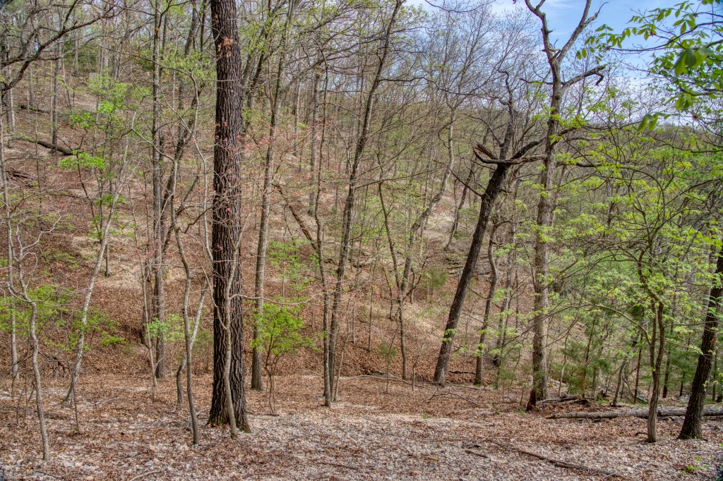 Thomas Family Subdivision - Land