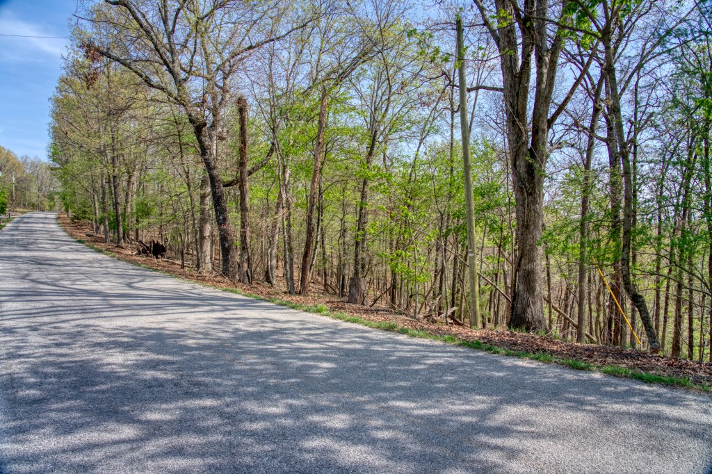 Thomas Family Subdivision - Land