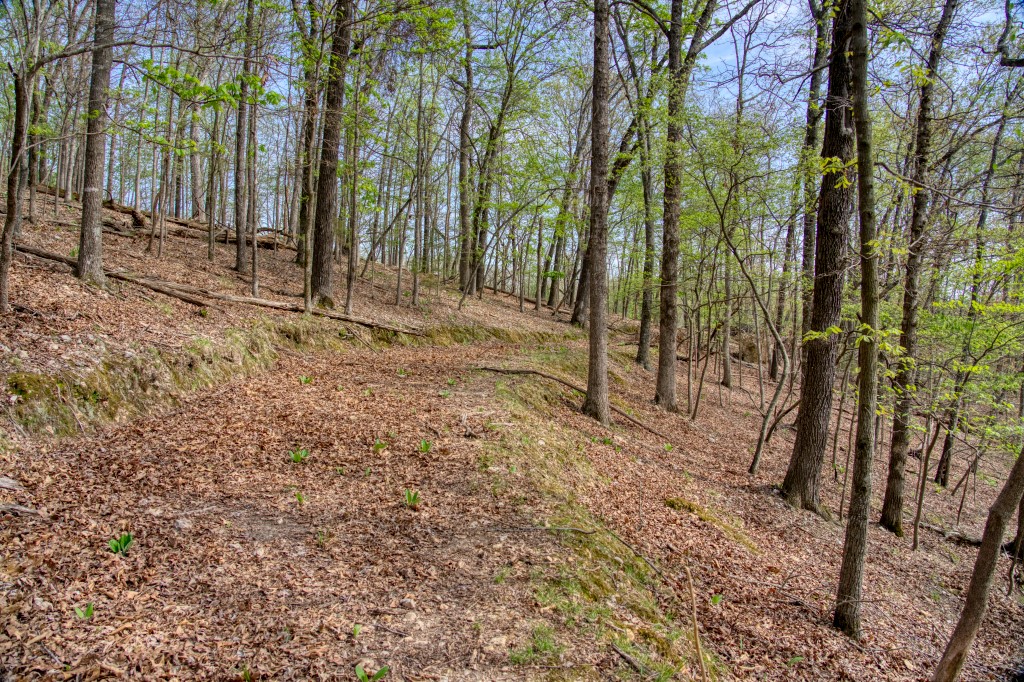 Thomas Family Subdivision - Land