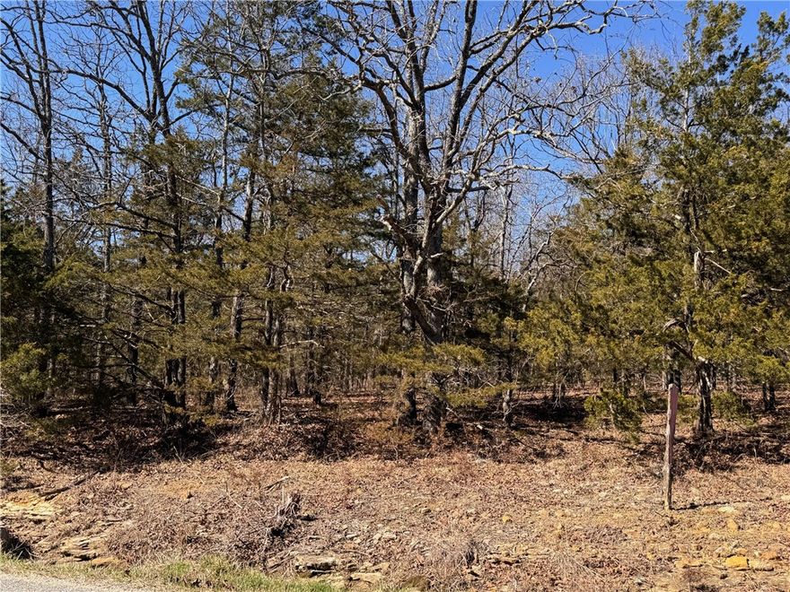 This 7.5-acre tract off Dunkard Rd offers a beautiful wooded setting with several potential homesite locations and rural water available. The gently rolling terrain provides privacy while still being manageable and easy to build on, making it ideal for a permanent residence or a weekend getaway. Located in the Alpena School District and just minutes from Long Creek, you can enjoy quiet country living while remaining conveniently close to all the shopping and amenities in the Harrison ar,  No single wide mobile homes.