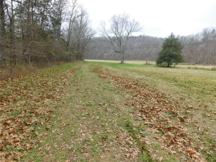 Land in the Buffalo National River Region in the Ozark Mountains. Awesome views and setting with this 67.96 acres which is only 3 miles from Jasper in Newton County, Arkansas. Approximately 25 acres of hay field and pasture. Brasel Creek runs through the property and is located in the Little Buffalo River Valley. Perfect for building a house and having a livestock farm. Just off of Hwy 327 and Will Jones Road.