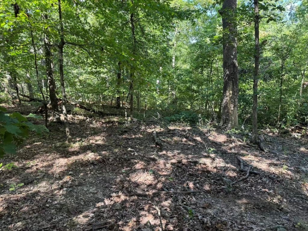 Build your secluded dream home 20 min from downtown Bentonville! This 0.28 acre lot is a 2 minute ride to the Back 40 Trail Head. There are several flat build sites and a few gentle slopes. Itās surrounded on two sides by the Bella Vista owned land (no close neighbors!) and is off Gainford Dr. for ultimate privacy. Utilities are at the street and in 2022 it successfully perc tested for a septic to support a 3 bedroom 2 bath house!