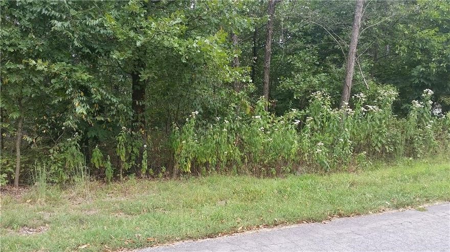 Lot with Lake  view of Loch Lochmond