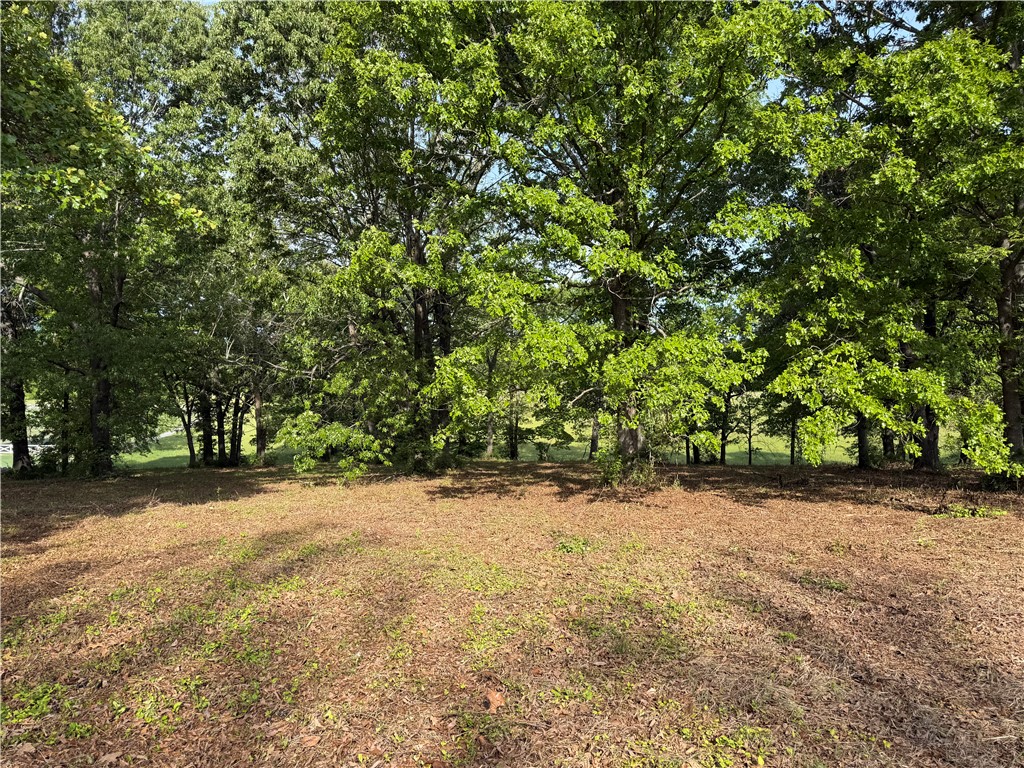 Savannah - Land