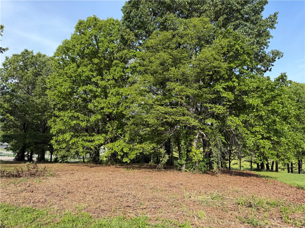 Savannah - Land