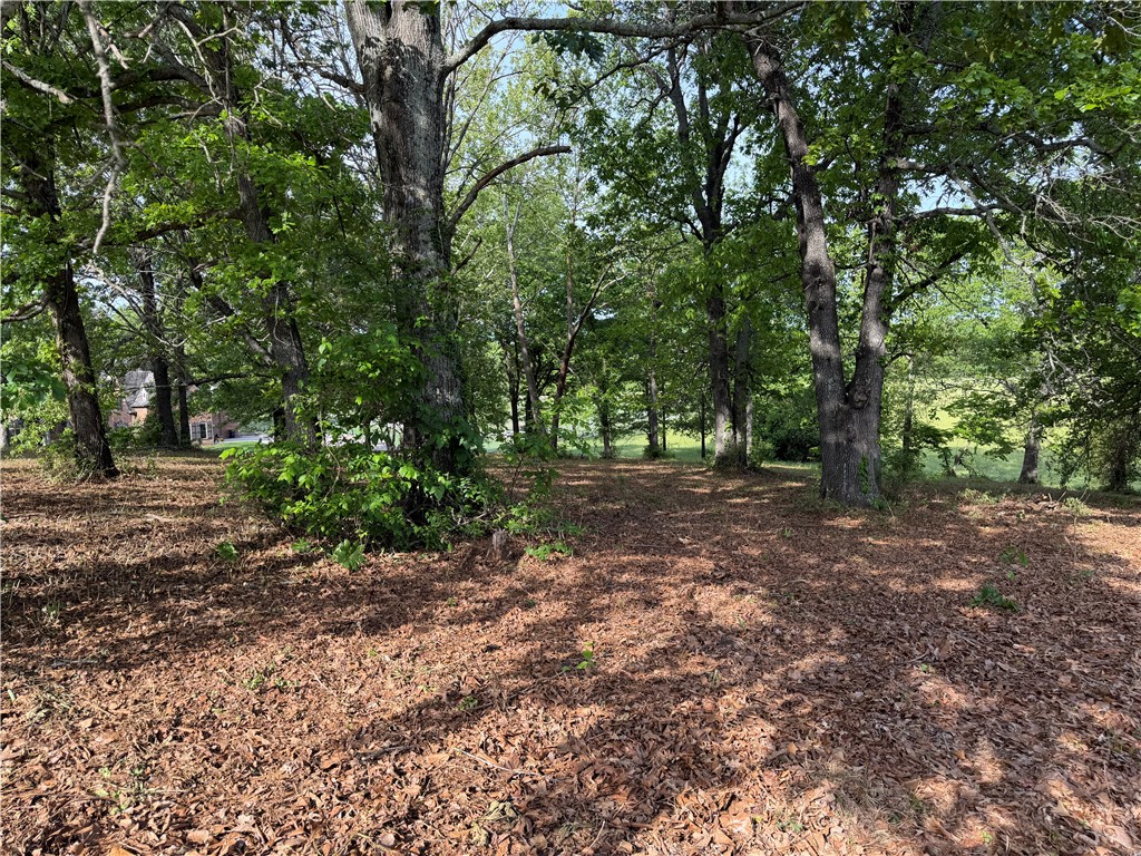 Savannah - Land