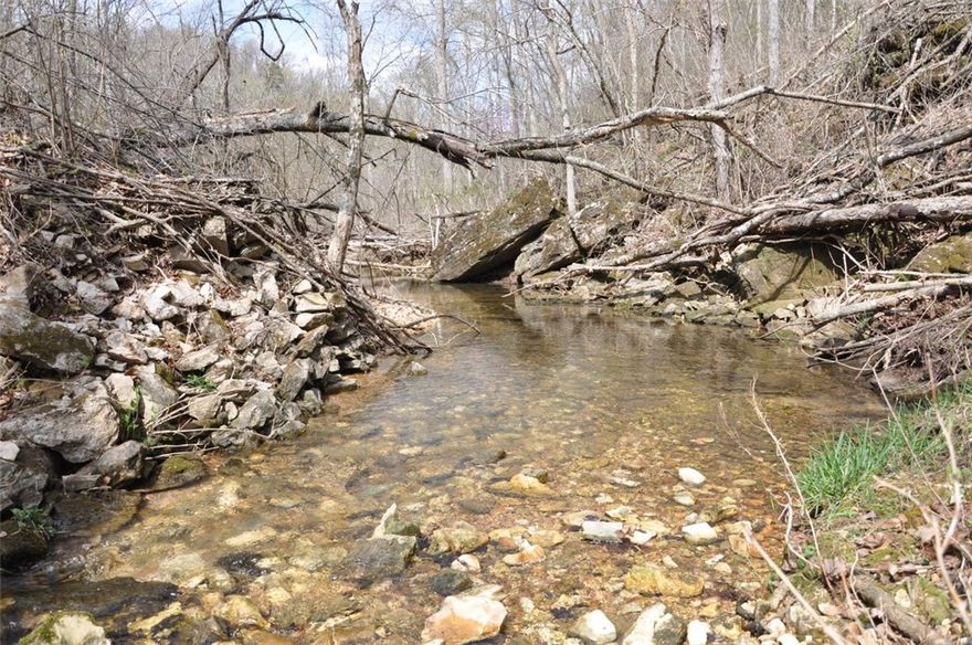 Own your own slice of the Ozarks! This 41.67 acres has been surveyed and would be perfect for that person who just wants to get away and unplug from the world. Electric is available but this would be even more ideal for an off-grid cabin or just use for hunting and hiking. Lots of deer, turkey an occasional bear and lots of small game. Hike down to the spring or sit out on the cleared ridge and take in all the beauty the countryside has to offer.